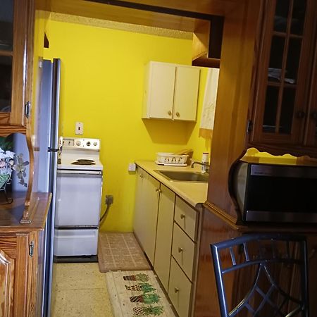 Chelsea Manor Leilighet Kingston Eksteriør bilde
